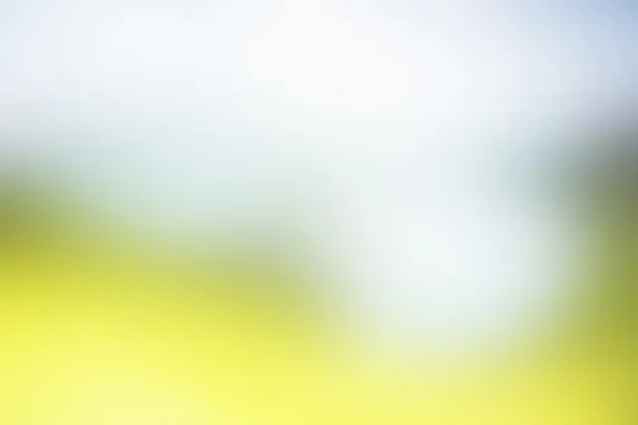 PocketWin Kasino Podpora